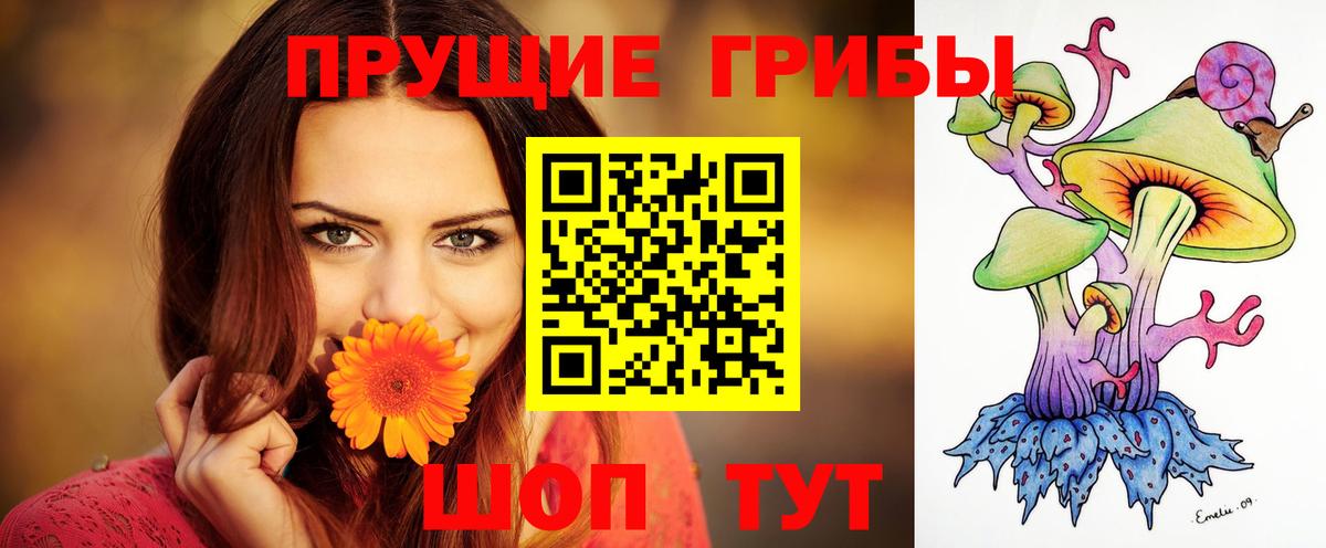 Псилоцибиновые грибы прущие грибы Белебей